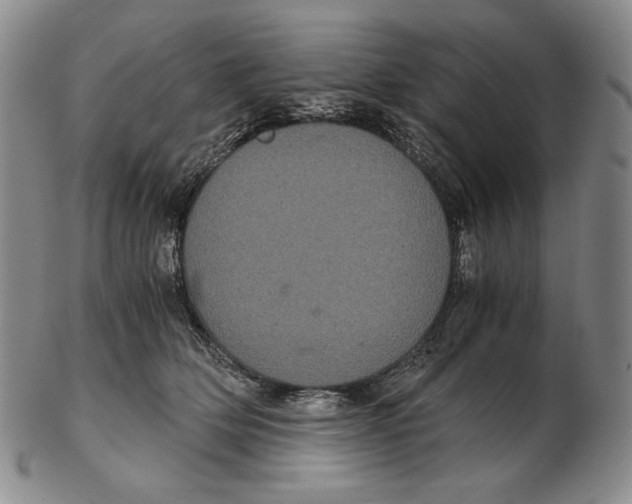 X0000102340514200808221633