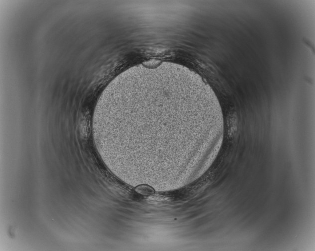 X0000102340515200808221633