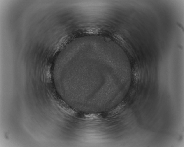 X0000102340516200808221633