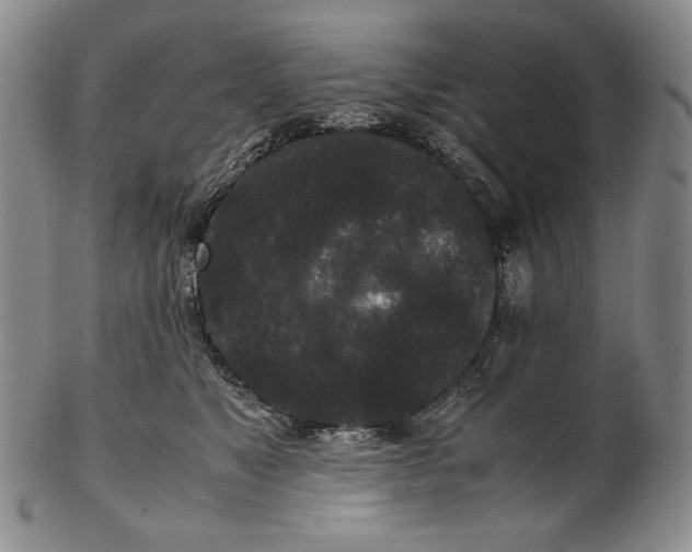 X0000102340517200808221633