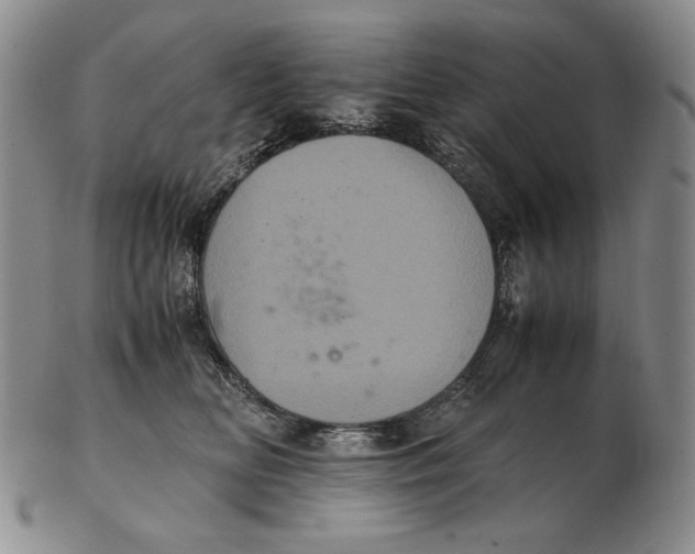 X0000102340518200808221633