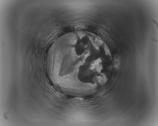 X0000102340519200808221633