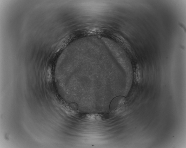 X0000102340520200808221633