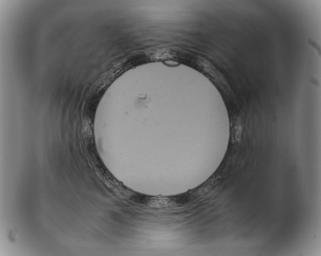 X0000102340521200808221633