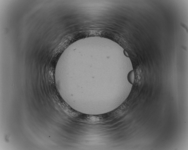 X0000102340522200808221633