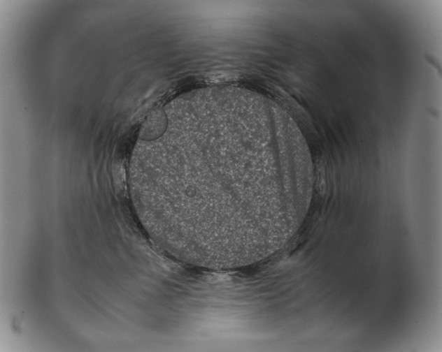 X0000102340523200808221633