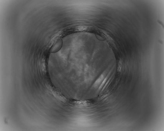 X0000102340524200808221633