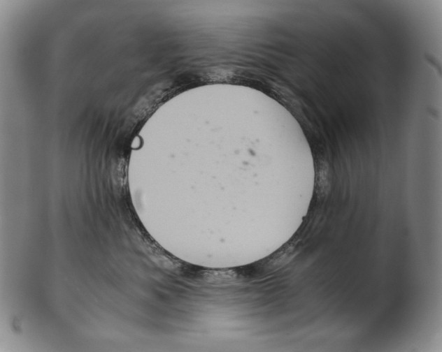 X0000102340525200808221633