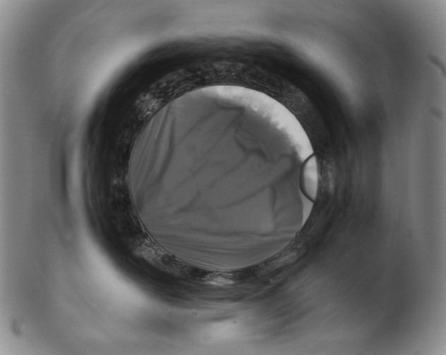 X0000102340526200808221633