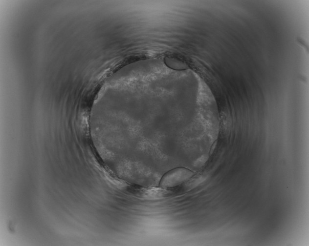 X0000102340527200808221633