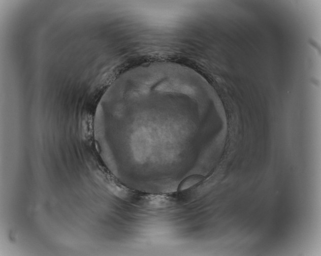 X0000102340528200808221633