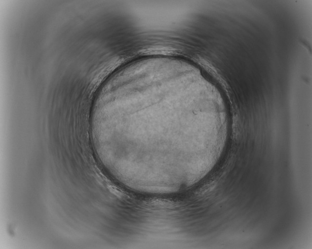 X0000102340529200808221633