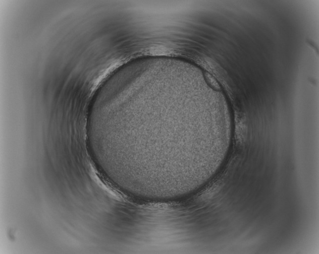 X0000102340530200808221633