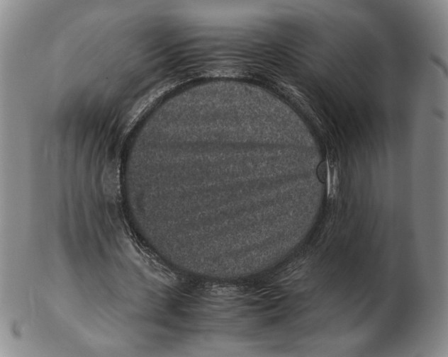 X0000102340531200808221633