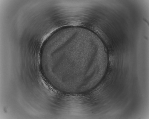 X0000102340532200808221633