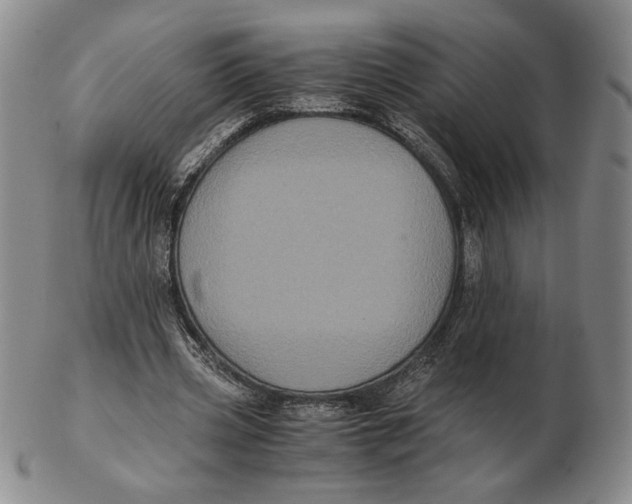 X0000102340533200808221633