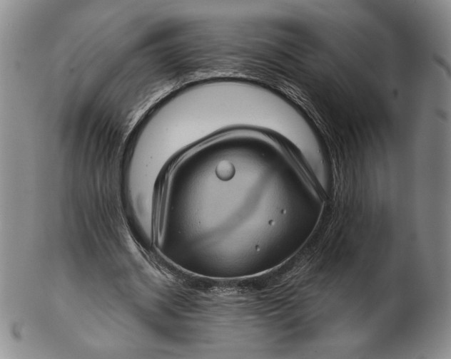 X0000102340534200808221633