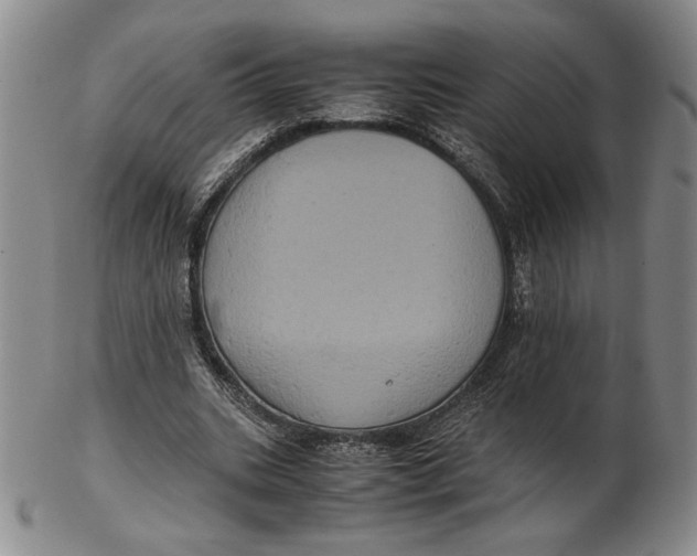 X0000102340535200808221633