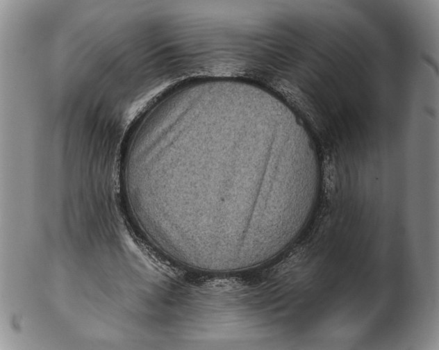 X0000102340536200808221633