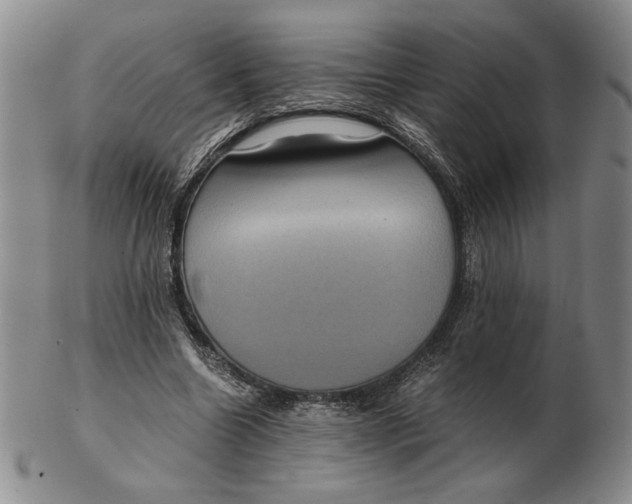 X0000102340538200808221633