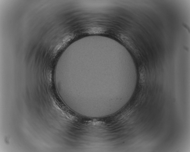 X0000102340539200808221633