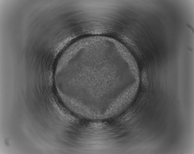 X0000102340540200808221633