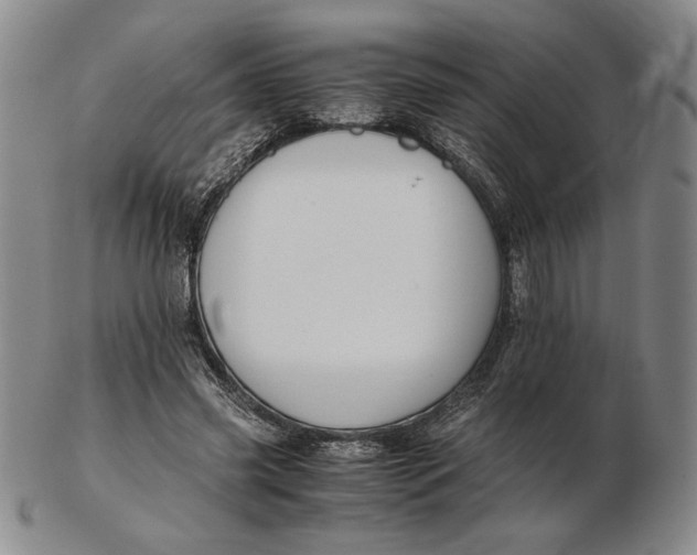 X0000102340541200808221633