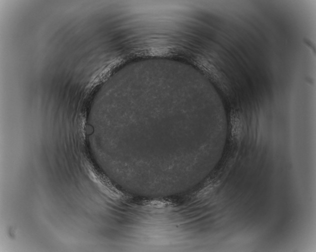 X0000102340542200808221633