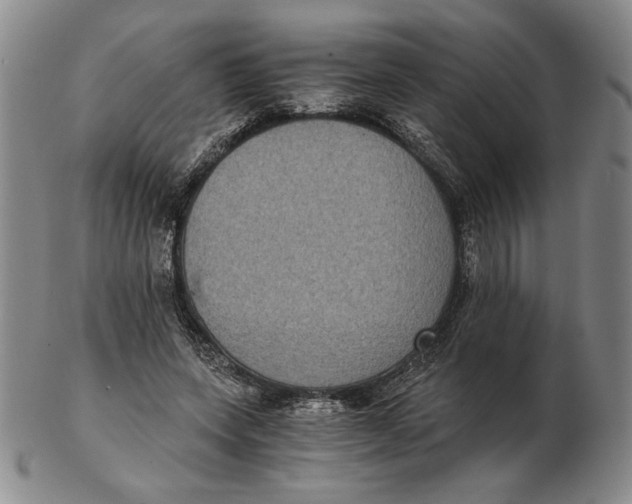 X0000102340543200808221633