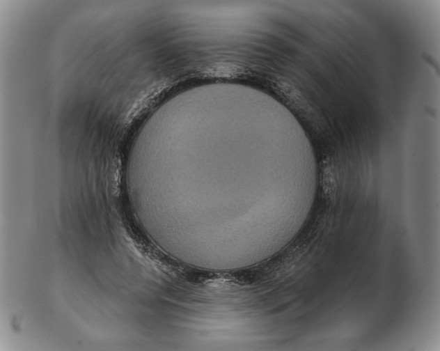 X0000102340544200808221633