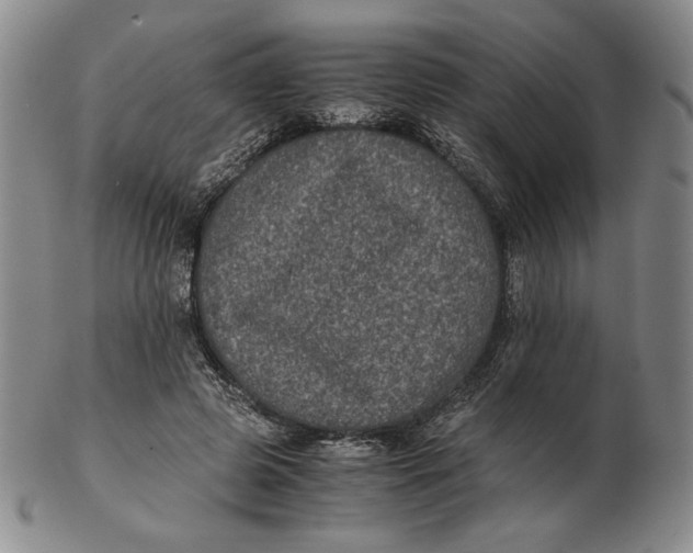 X0000102340545200808221633