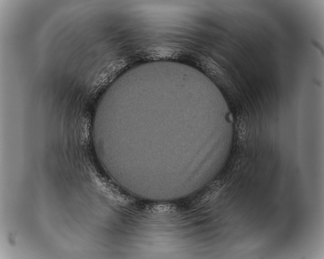 X0000102340546200808221633