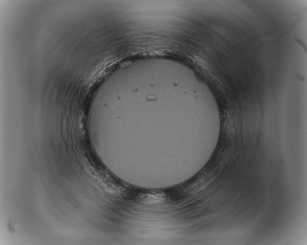 X0000102340548200808221633