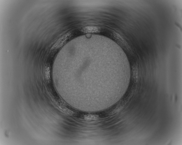 X0000102340549200808221633