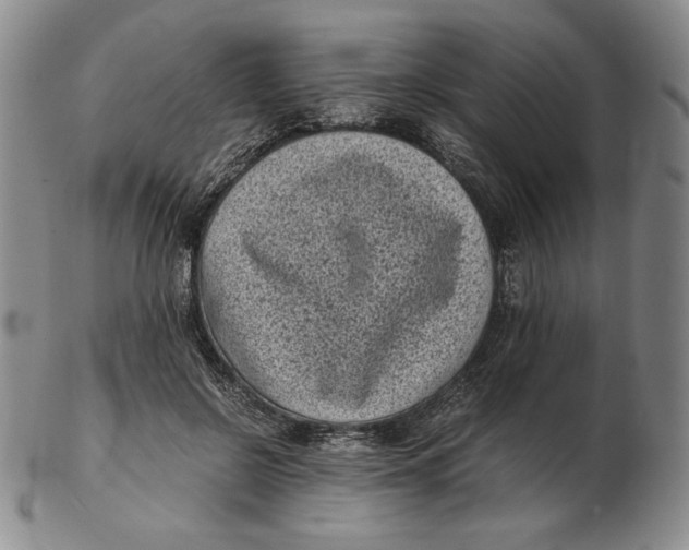 X0000102340550200808221633