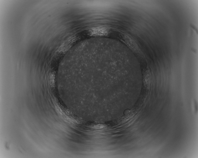 X0000102340551200808221633