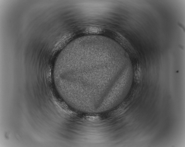 X0000102340552200808221633