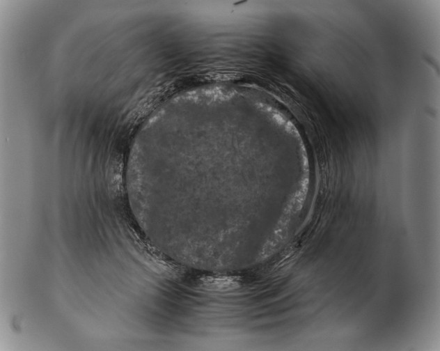 X0000102340553200808221633