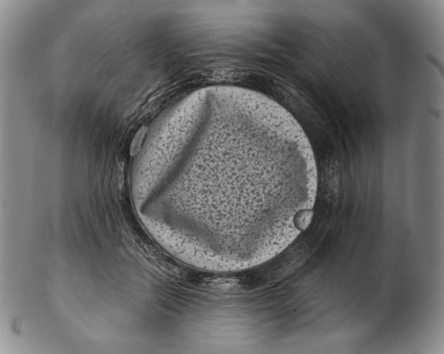 X0000102340554200808221633