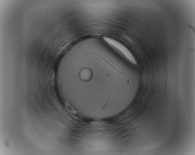 X0000102340556200808221633