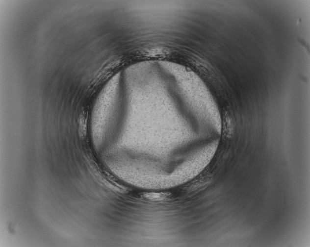 X0000102340558200808221633