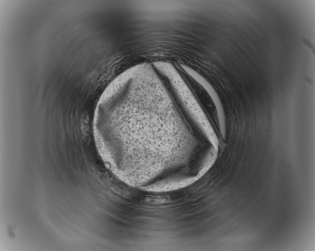 X0000102340559200808221633