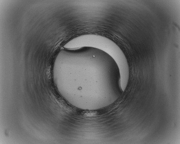 X0000102340560200808221633