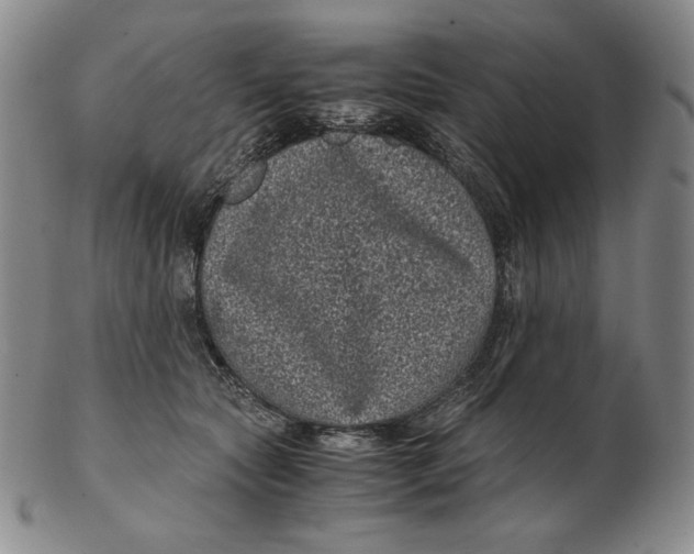 X0000102340561200808221633