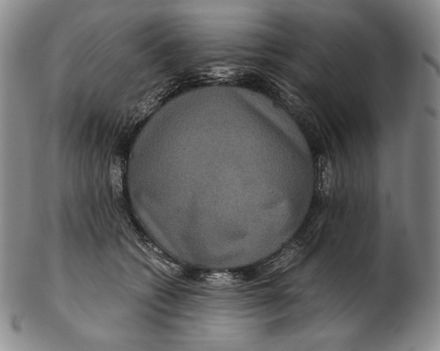 X0000102340562200808221633