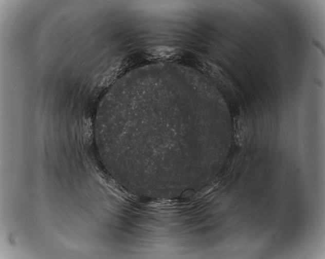 X0000102340563200808221633