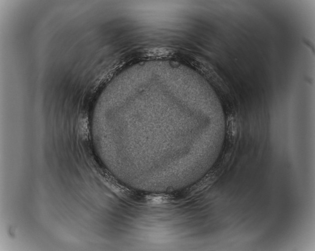 X0000102340564200808221633