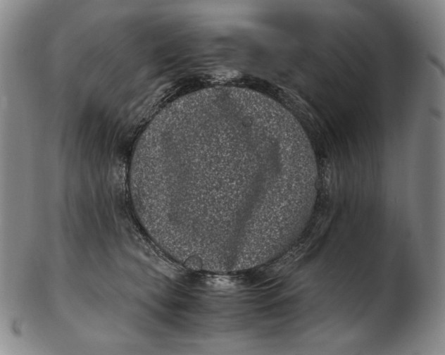 X0000102340565200808221633