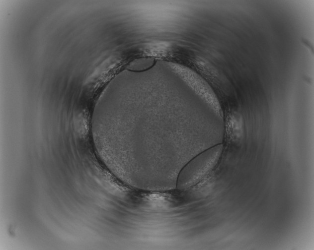 X0000102340566200808221633