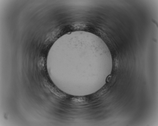 X0000102340567200808221633